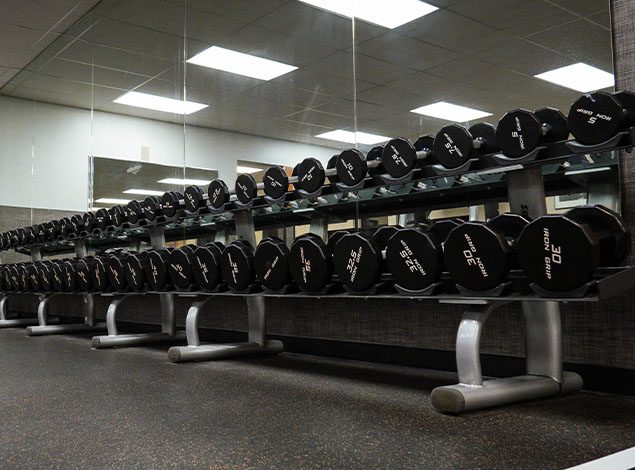 free weights in spacious modern gym